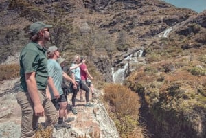 Queenstown: Routeburn Track Guided Full-Day Walk or Half Day