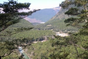 Queenstown: Routeburn Track Guided Full-Day Walk or Half Day