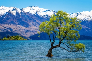 Queenstown: malownicza wycieczka do Wanaka przez Cardronę i Cromwell