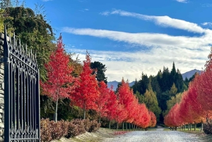 Queenstown: malownicza wycieczka do Wanaka przez Cardronę i Cromwell
