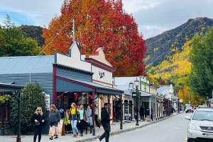 Queenstown: malownicza wycieczka do Wanaka przez Cardronę i Cromwell