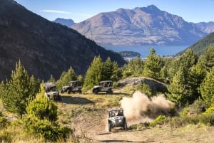 Queenstown: Challenger Self-Drive Buggy Buggy Tour