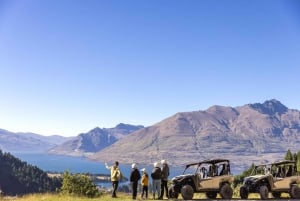 Queenstown: Challenger Self-Drive Buggy Buggy Tour