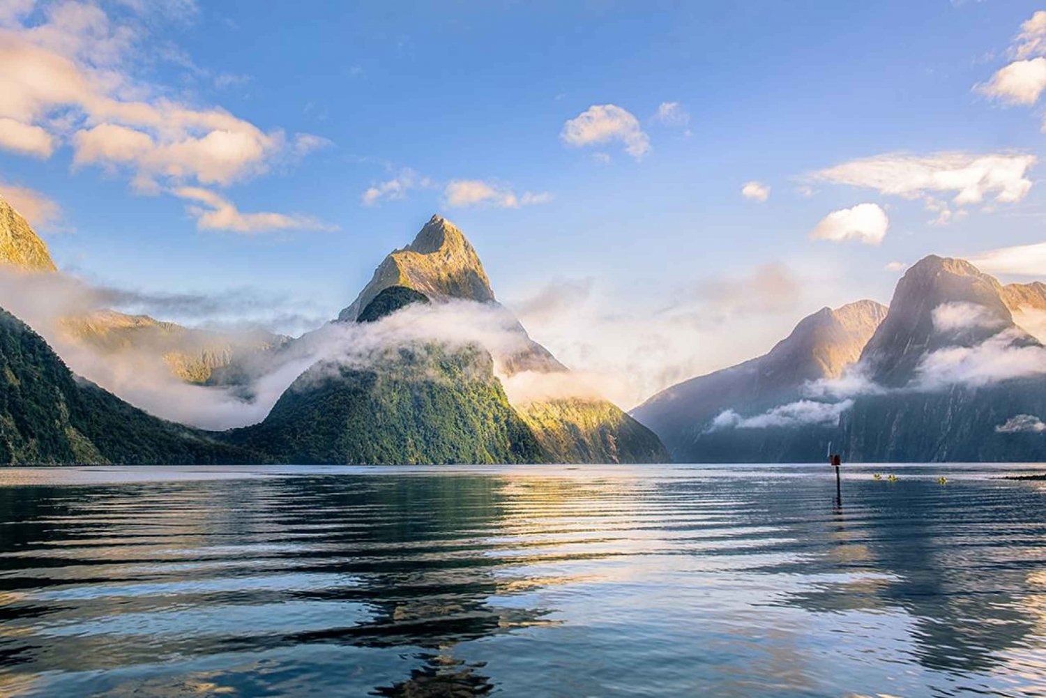 Queenstown: Small-Group Tour to Milford Sound with Cruise