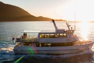 Queenstown: Small-Group Tour to Milford Sound with Cruise