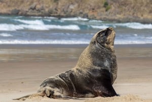 Queenstown: Southern Highlights – 3 Days & 2 Nights