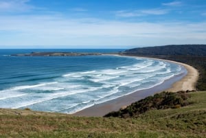 Queenstown: Southern Highlights – 3 Days & 2 Nights