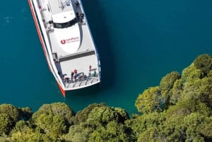 Queenstown: Spirit of Queenstown Lake Wakatipu Scenic Cruise