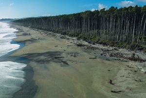 Kleingruppentour von Queenstown nach Franz Josef (einfache Strecke)