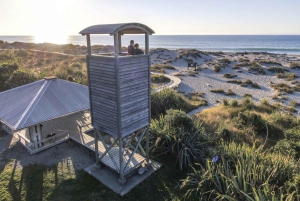 Kleingruppentour von Queenstown nach Franz Josef (einfache Strecke)