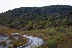 Kleingruppentour von Queenstown nach Franz Josef (einfache Strecke)