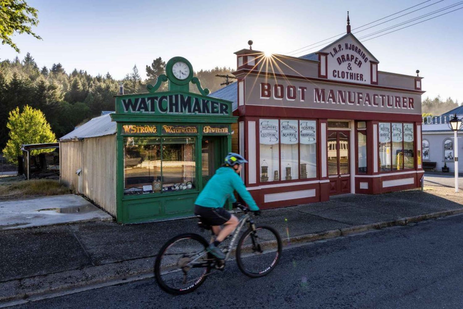 Queenstown to Middlemarch Small-Group Guided Tour (One-Way)