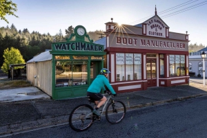 Queenstown to Middlemarch Small-Group Guided Tour (One-Way)