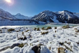 Queenstown ja Mt Cook (1 suunta) Tour