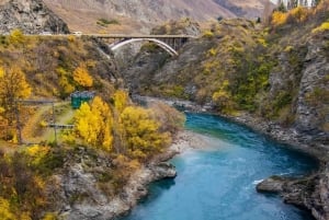 Queenstown a Mt Cook tour guiado nocturno