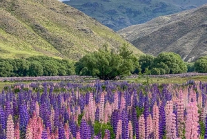 Geführte Übernachtungstour von Queenstown nach Mt Cook