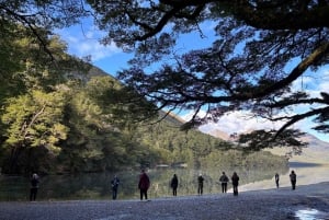 Queenstown to Te Anau via Milford Sound inc Cruise & Lunch