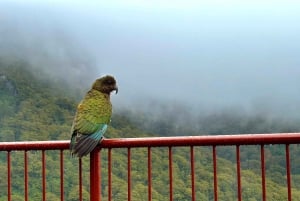 Queenstown to Te Anau via Milford Sound inc Cruise & Lunch