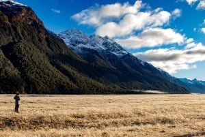 Queenstown to Te Anau via Milford Sound inc Cruise & Lunch