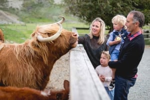 Queenstown: TSS Earnslaw Cruise i Walter Peak Farm Tour