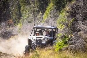 Queenstown: Ultimate 4x4 and Buggy Adventure Tour