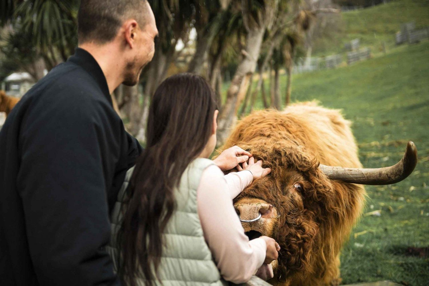 Queenstown: Walter Peak Farm Tour i rejs po jeziorze