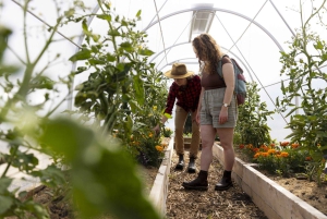 Квинстаун: «От сада к столу» в Уолтер-Пик