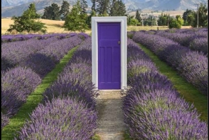 Queenstown: Wanaka & Arrowtown Guided Private Day Tour