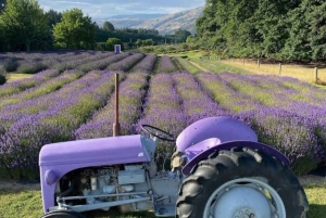 Queenstown: Wanaka & Arrowtown Guided Private Day Tour