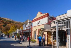 Queenstown: Wanaka & Arrowtown Guided Private Day Tour