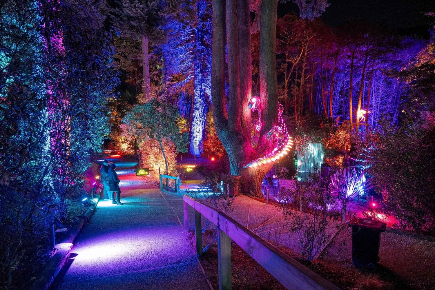 Queenstown: fantasierijke zintuiglijke nachtwandeling bij LUMA Enchanted