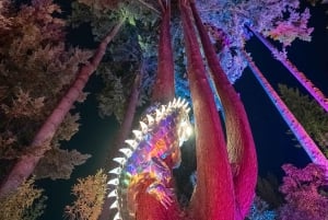 Queenstown: paseo nocturno sensorial y fantástico en LUMA Enchanted.