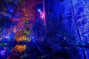 Queenstown: paseo nocturno sensorial y fantástico en LUMA Enchanted.