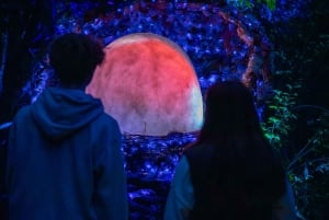 Queenstown: paseo nocturno sensorial y fantástico en LUMA Enchanted.