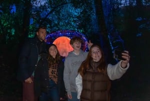 Queenstown: paseo nocturno sensorial y fantástico en LUMA Enchanted.
