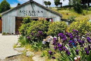 Queenstown: Wine Tasting Tour with Optional Gin and Whiskey