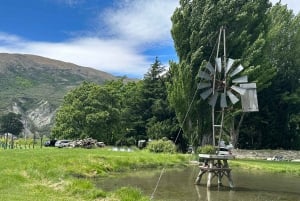 Queenstown: Wine Tasting Tour with Optional Gin and Whiskey