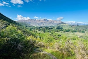 Queenstown: Wine Tasting Tour with Optional Gin and Whiskey