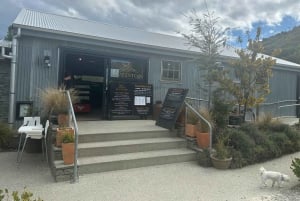 Queenstown: Wine Tasting Tour with Optional Gin and Whiskey