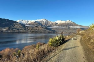 Queenstown: Wine Tasting Tour with Optional Gin and Whiskey