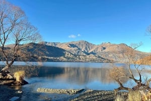 Queenstown: Wine Tasting Tour with Optional Gin and Whiskey