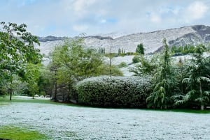 Queenstown: Wine Tasting Tour with Optional Gin and Whiskey