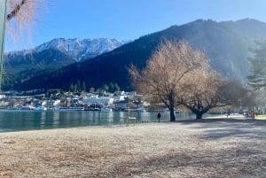 Queenstown: Wine Tasting Tour with Optional Gin and Whiskey