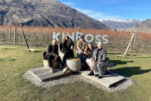 Queenstown: Wine Tasting Tour with Optional Gin and Whiskey