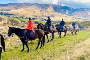 Queenstown: Wine Tasting Tour with Optional Gin and Whiskey