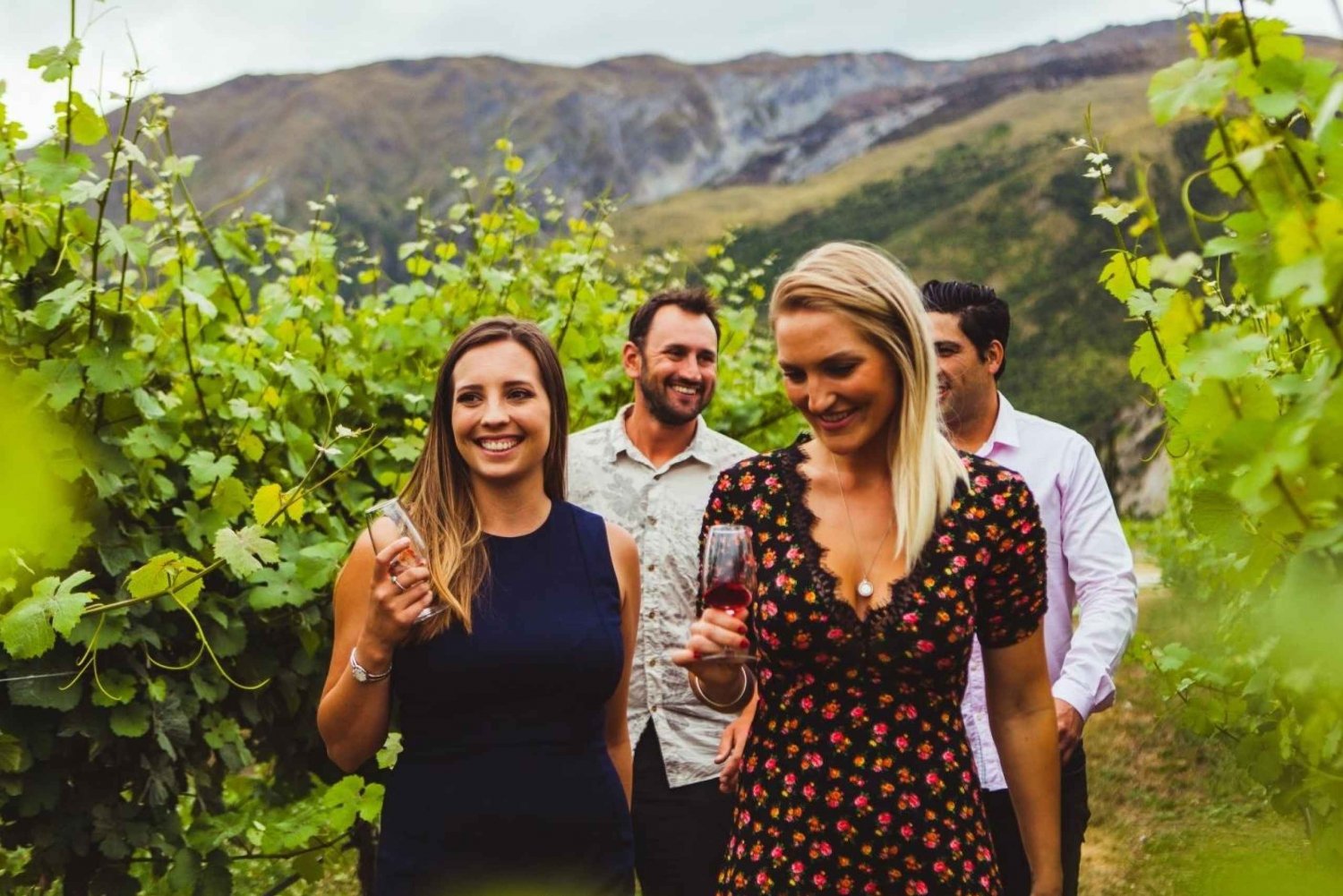 Queenstown Wine Tasting Tour in Queenstown