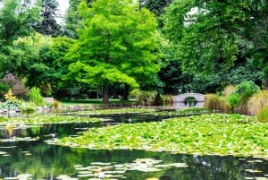 Queenstown Winter Privatspaziergang: Zauberhafte Weihnachtsmagie