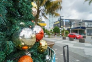 Queenstown Winter Privatspaziergang: Zauberhafte Weihnachtsmagie
