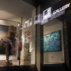 Romer Gallery