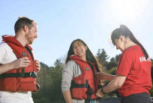 Shotover River: Extreme Jet Boat Experience